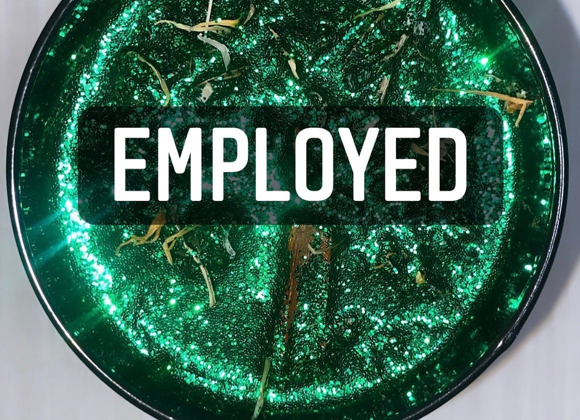 Employed - Job Search - Promotion
