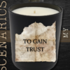 Scenarios - To Gain Trust